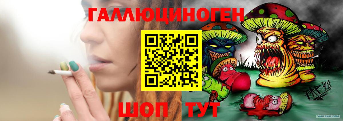 Гусиноозёрск  Псилоцибиновые грибы MAGIC MUSHROOMS  Вход с VPN  наркотики  Псилоцибиновые грибы Psilocybe 